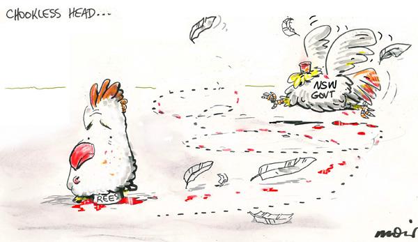 another flustered feather-duster .....