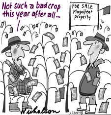 cash crops .....