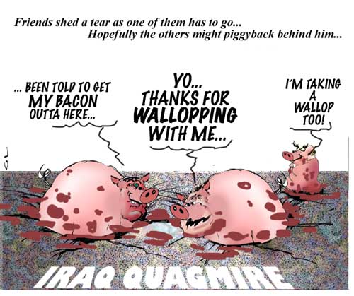 from the trough .....