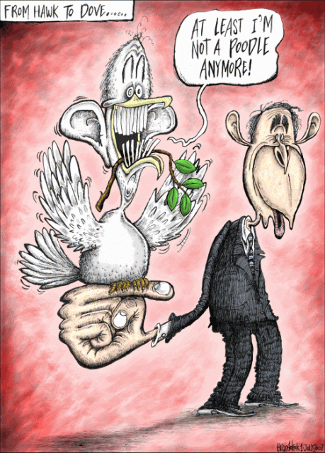 once a lapdog .....