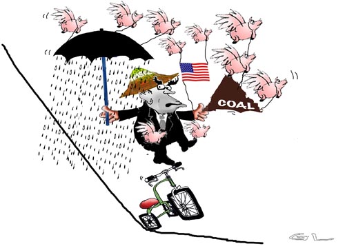 rattus in wonderland .....
