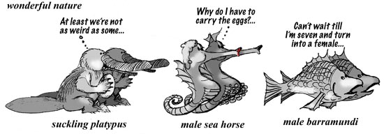 some mothers do have 'em .....