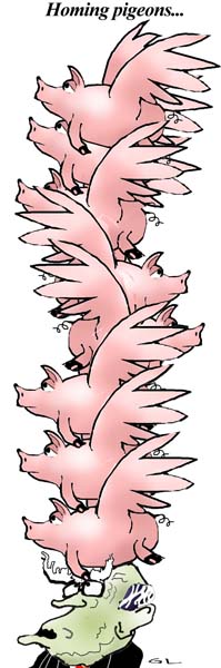 the porkie pile .....